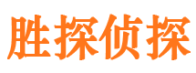 莱城寻人公司